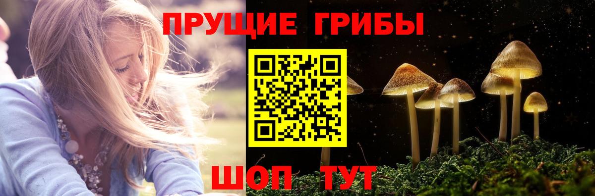 Галлюциногенные грибы мицелий  Галлюциногенные грибы Magic Shrooms  где можно купить наркотик  Вход с VPN  Курск 